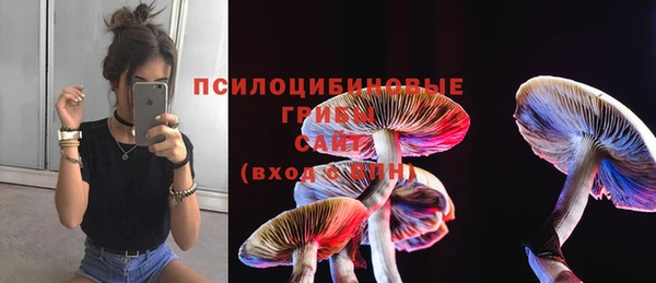 гидропоника Алзамай