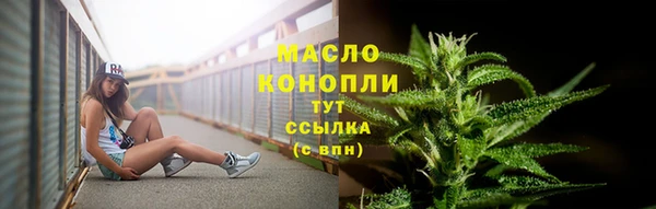 крисы Абдулино