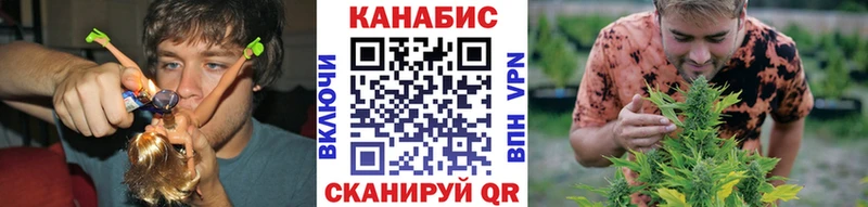 магазин продажи наркотиков  Усть-Илимск  Канабис сатива 